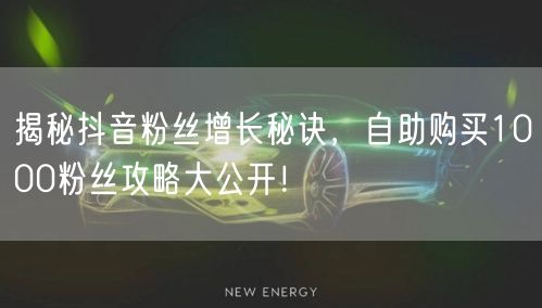 揭秘抖音粉丝增长秘诀，自助购买1000粉丝攻略大公开！