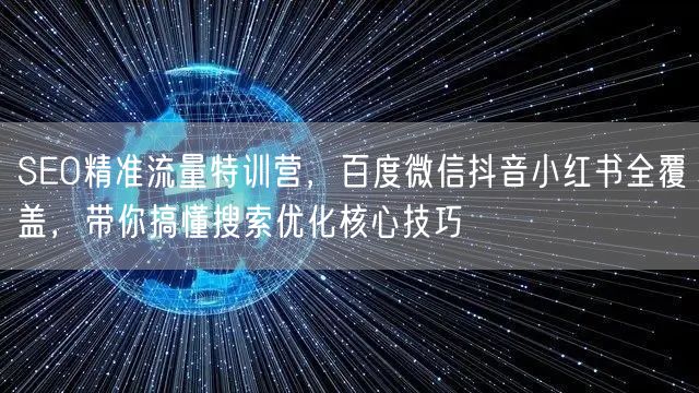 SEO精准流量特训营，百度微信抖音小红书全覆盖，带你搞懂搜索优化核心技巧