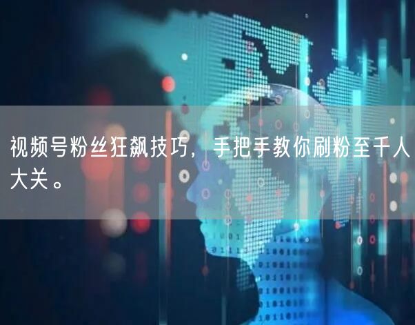 视频号粉丝狂飙技巧，手把手教你刷粉至千人大关。