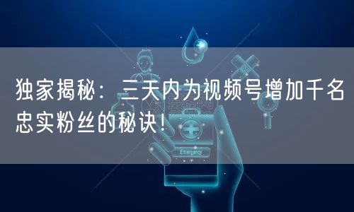 独家揭秘：三天内为视频号增加千名忠实粉丝的秘诀！