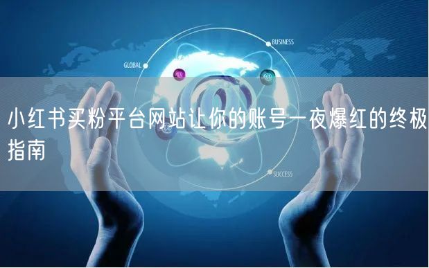 小红书买粉平台网站让你的账号一夜爆红的终极指南