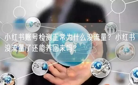 小红书账号检测正常为什么没流量？小红书没流量了还能养回来吗？
