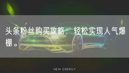 头条粉丝购买攻略：轻松实现人气爆棚。