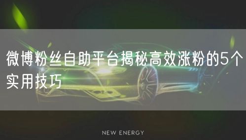 微博粉丝自助平台揭秘高效涨粉的5个实用技巧