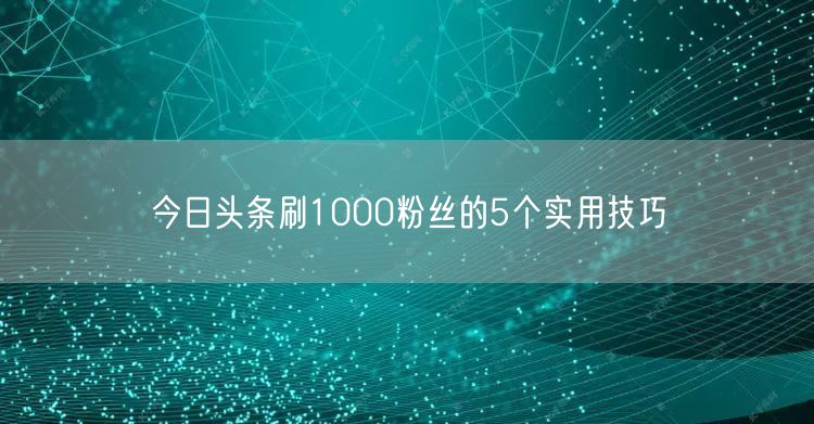 今日头条刷1000粉丝的5个实用技巧