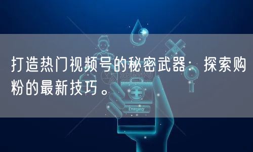 打造热门视频号的秘密武器：探索购粉的最新技巧。