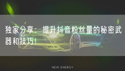 独家分享：提升抖音粉丝量的秘密武器和技巧！