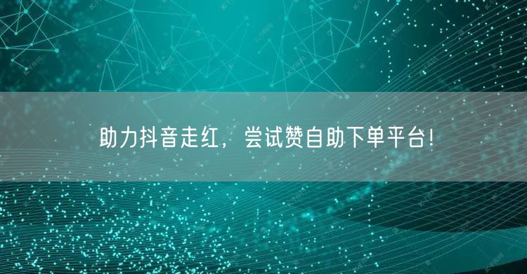 助力抖音走红，尝试赞自助下单平台！