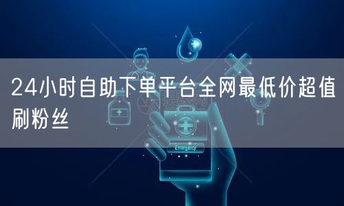 24小时自助下单平台全网最低价超值刷粉丝