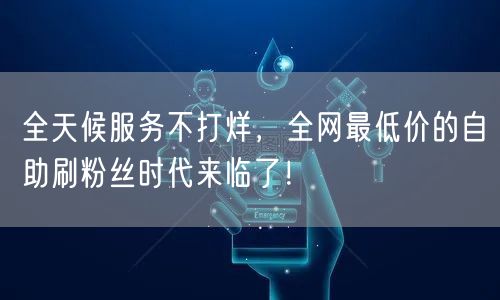 全天候服务不打烊，全网最低价的自助刷粉丝时代来临了！