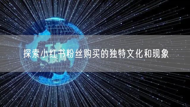 探索小红书粉丝购买的独特文化和现象