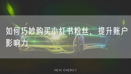 如何巧妙购买小红书粉丝，提升账户影响力