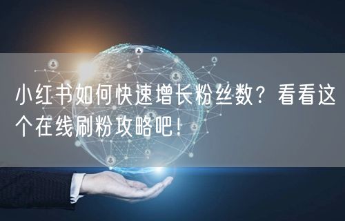 小红书如何快速增长粉丝数？看看这个在线刷粉攻略吧！