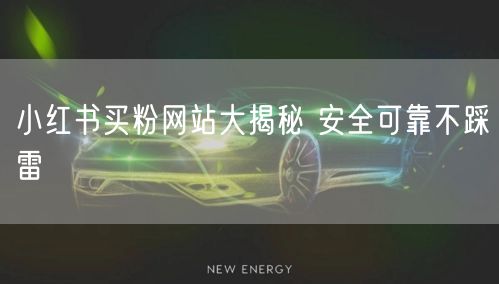 小红书买粉网站大揭秘 安全可靠不踩雷