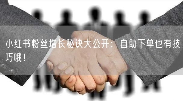 小红书粉丝增长秘诀大公开：自助下单也有技巧哦！