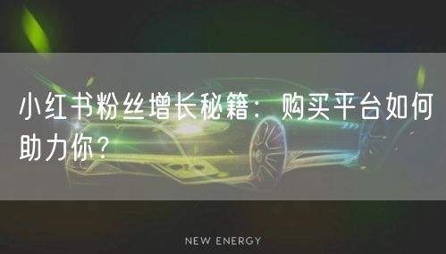 小红书粉丝增长秘籍：购买平台如何助力你？