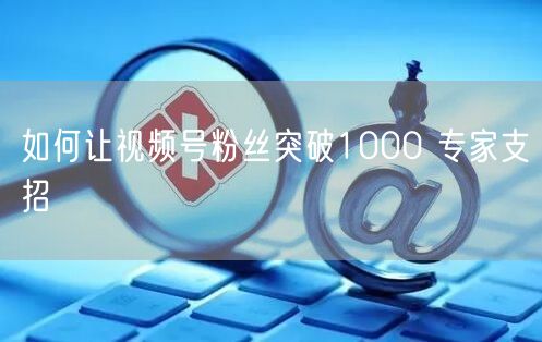 如何让视频号粉丝突破1000 专家支招