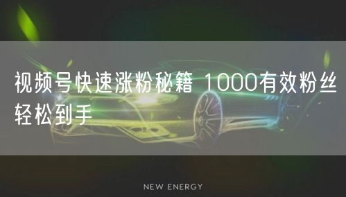 视频号快速涨粉秘籍 1000有效粉丝轻松到手