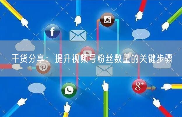干货分享：提升视频号粉丝数量的关键步骤